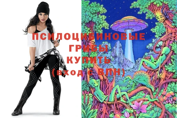 бутират Баксан
