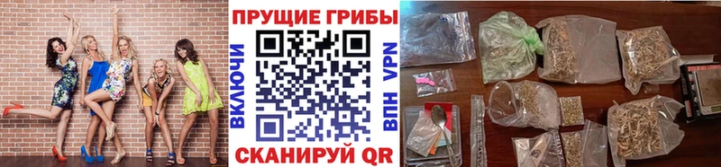 Псилоцибиновые грибы Psilocybine cubensis Лесосибирск