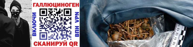 Галлюциногенные грибы Magic Shrooms  где продают   Лесосибирск 
